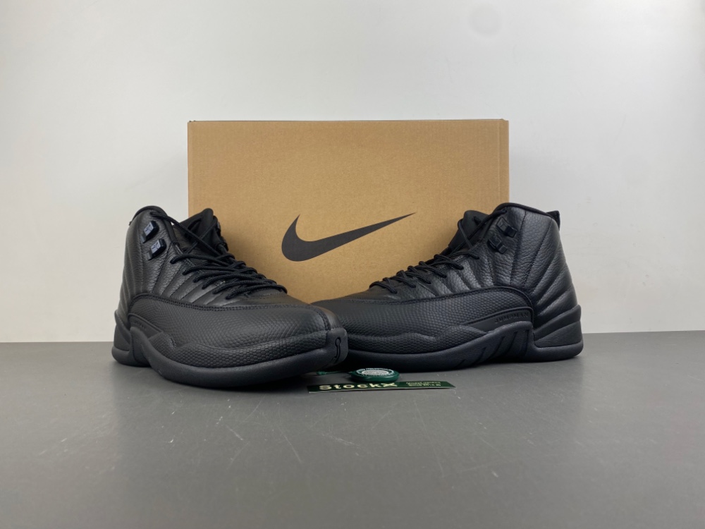 air Jordan 12 retro shoes men-all black